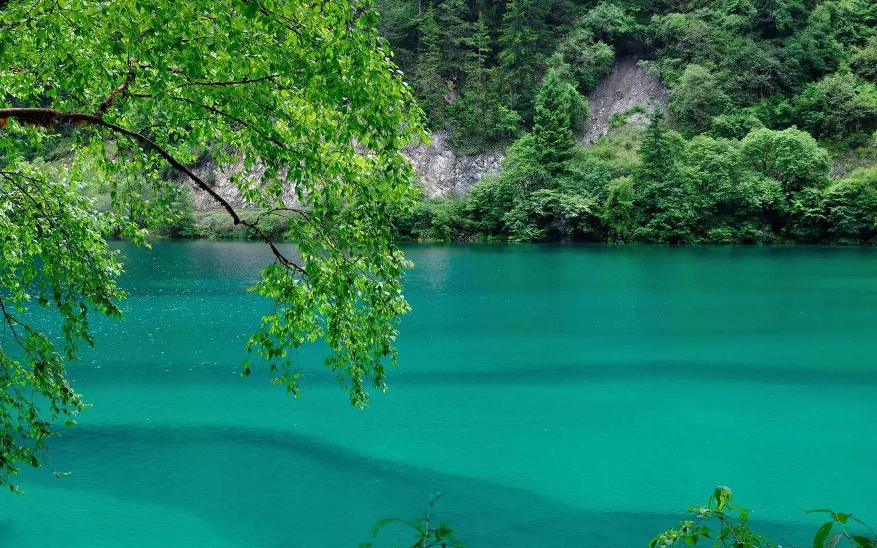 高性能节能智能